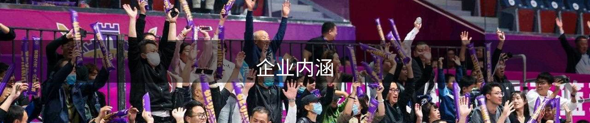 企业内涵