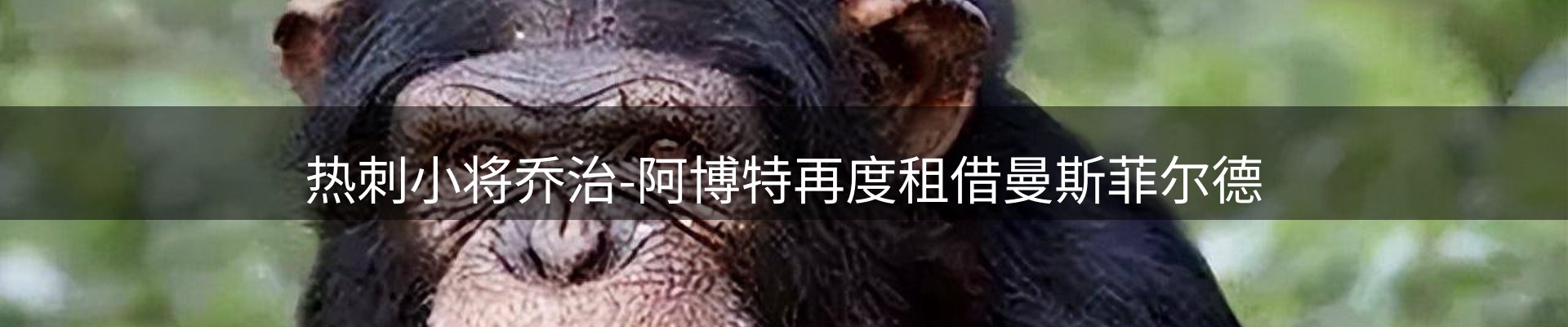 资讯播送