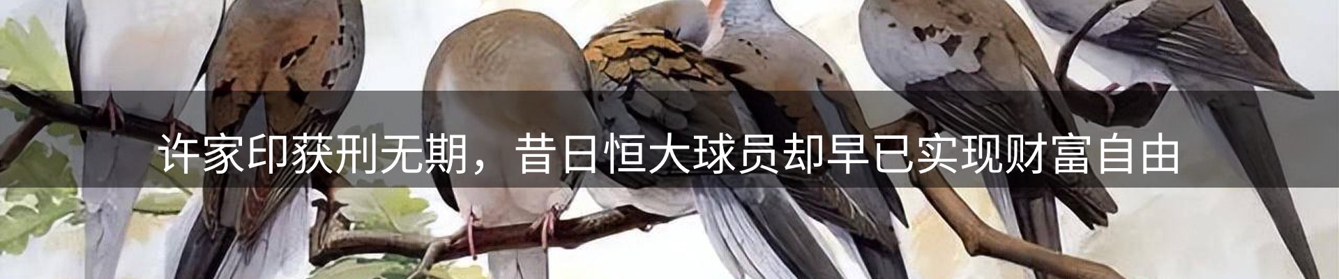 资讯播送